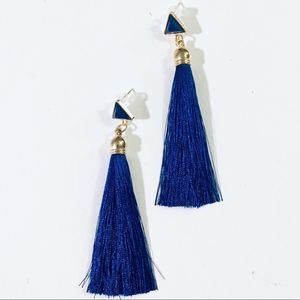 Blue long tassel earrings 
